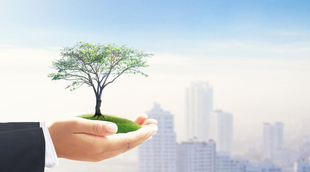 Comment les entreprises peuvent-elles communiquer sur leur engagement RSE en bourse?