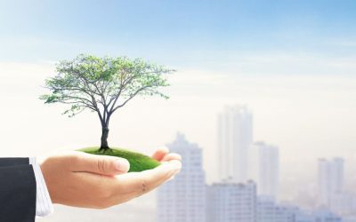 Comment les entreprises peuvent-elles communiquer sur leur engagement RSE en bourse?