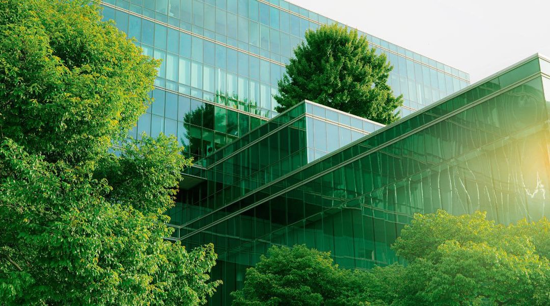 Comment les entreprises peuvent-elles intégrer la transition écologique dans leur stratégie en bourse ?