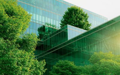 Comment les entreprises peuvent-elles intégrer la transition écologique dans leur stratégie en bourse ?