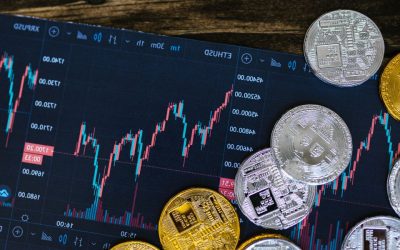 Parlons Long Terme Remi sous le Feu des Projecteurs : Comment Son Logiciel Optimise les Stratégies d&rsquo;Investissement