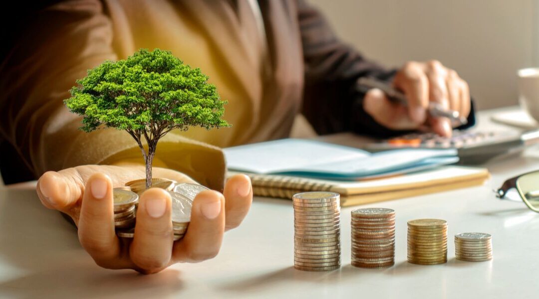 Comment la bourse finance les entreprises ?