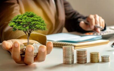 Comment la bourse finance les entreprises ?